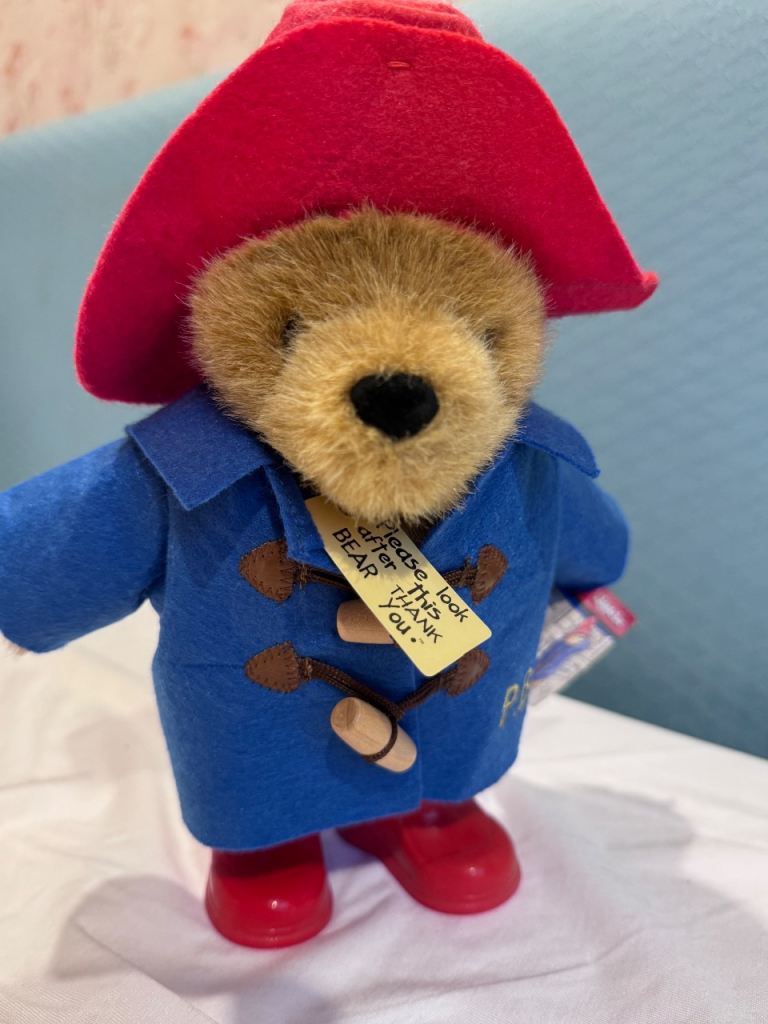 Paddington Bear New