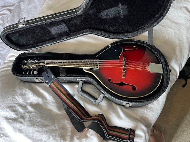 Mandolin made by Gremlin