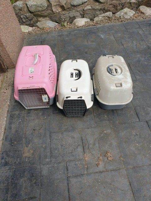 3 Pet Carriers
