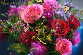 image for Experienced Private Care Assistant with Car – King’s Lynn (£14/hour)