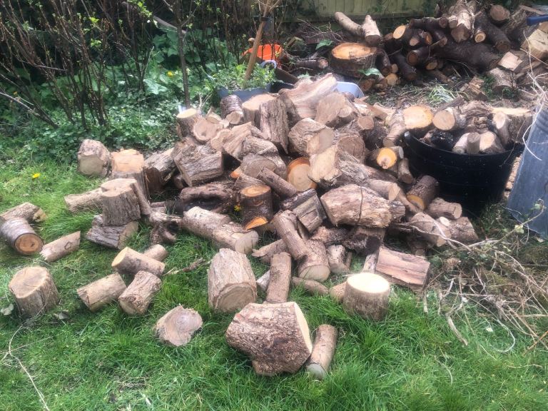 Firewood logs