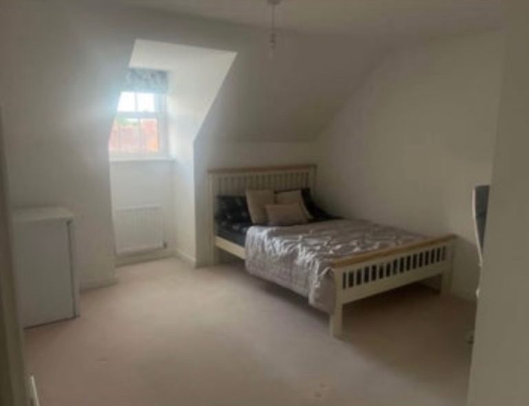 Large en suite + smart TV + personal fridge 