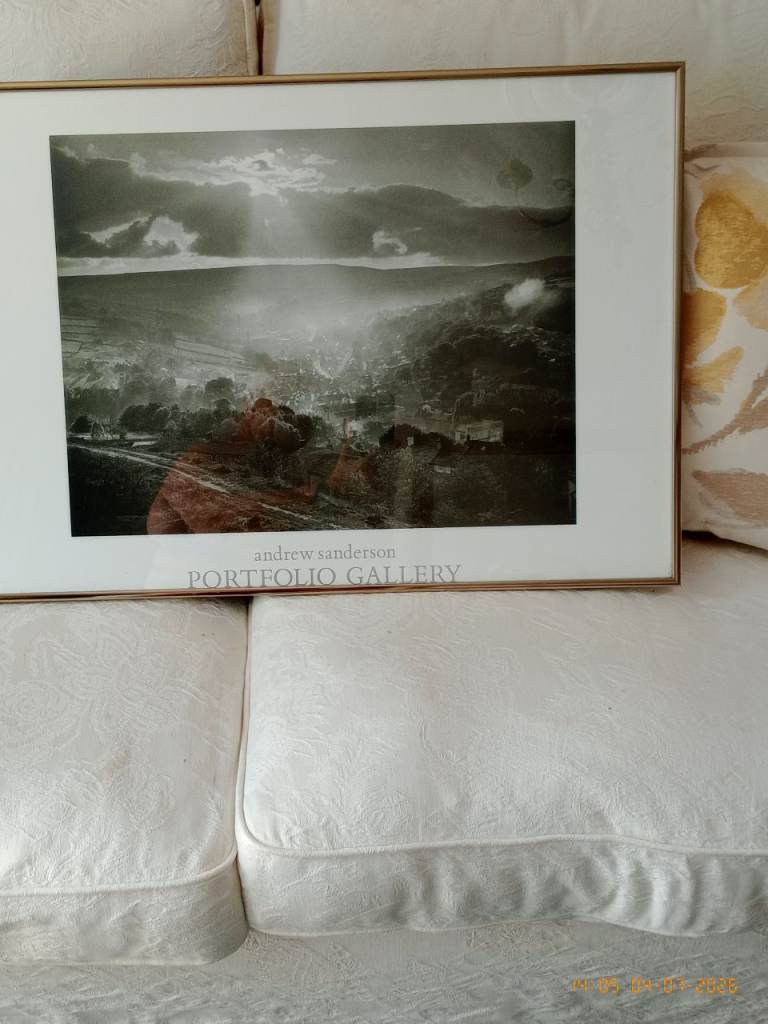 Photo Print/Picture