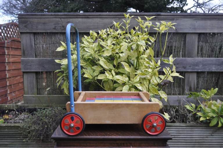 Vintage Tri-ang baby walker