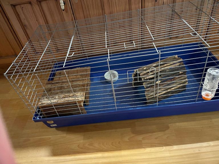 Guinea Pig cage.
