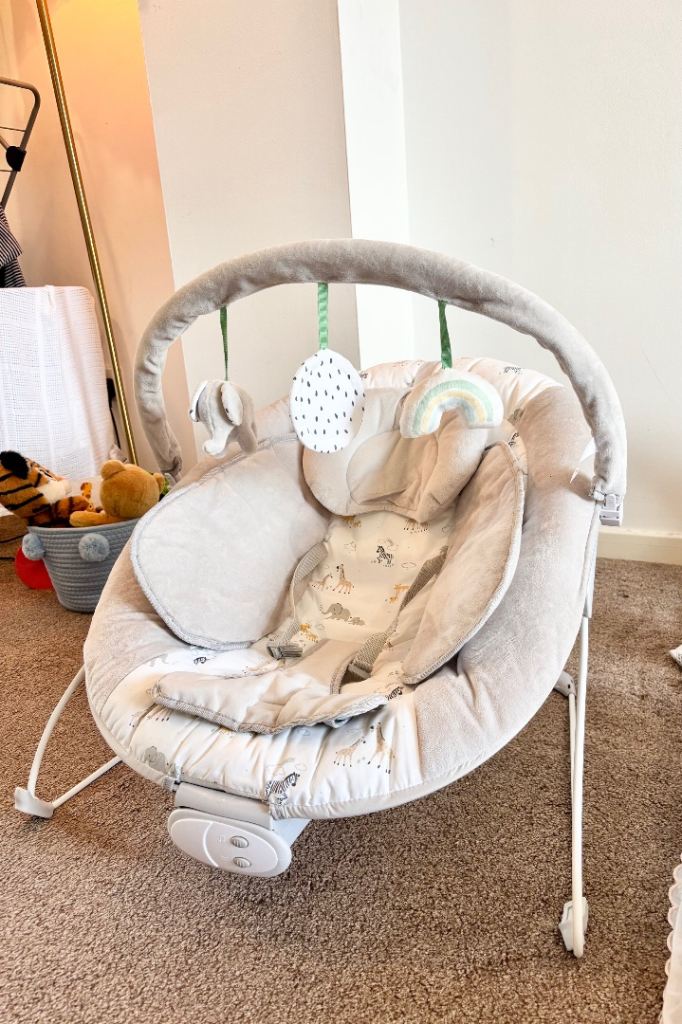 Baby Bouncer