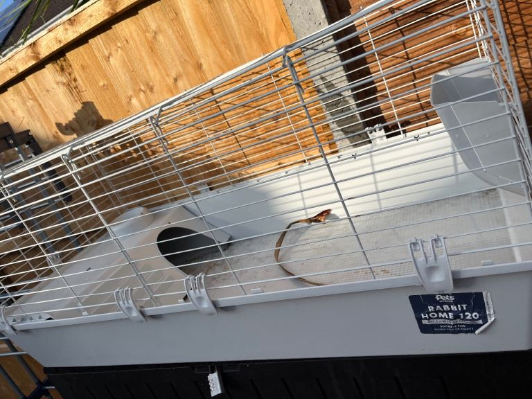 Indoor rabbit / Guinea pig cage
