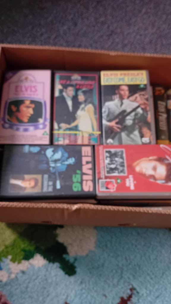 Elvis preslery videos 