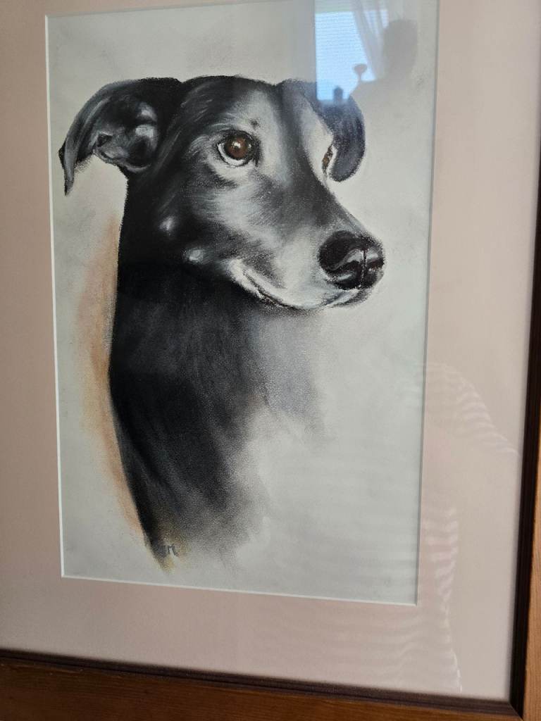 Beautiful whippet painting 