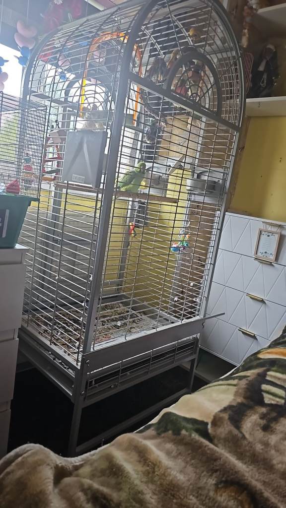 Large Grey Metal Aviary Style Cage with Perches and Bird Toys