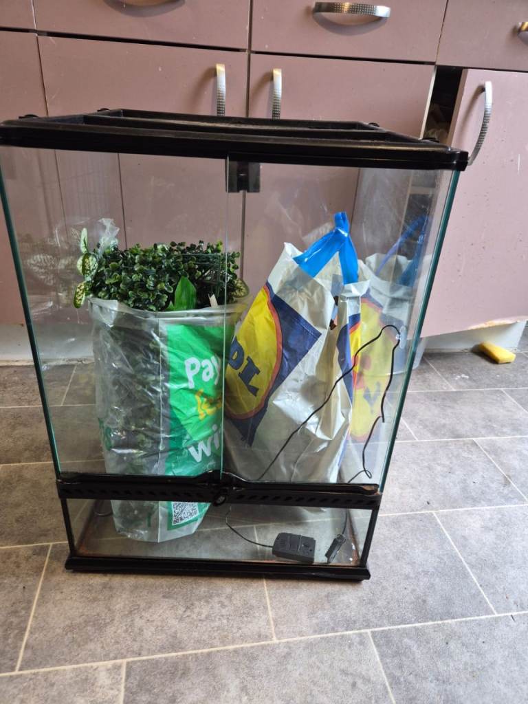 Vivarium and accessories 