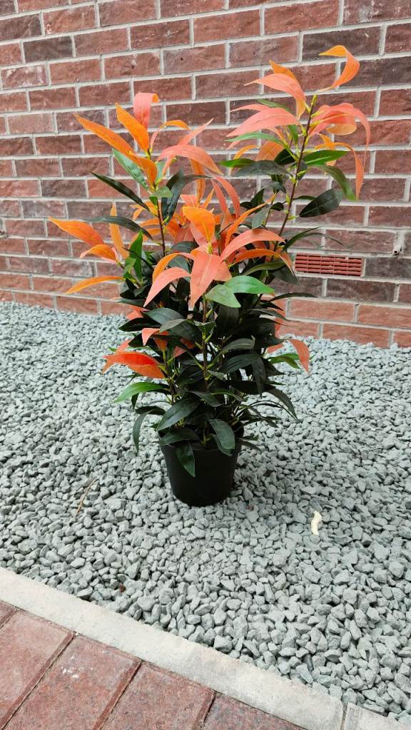 Artificial plant