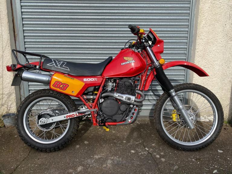1983 Honda XL600R                                                               