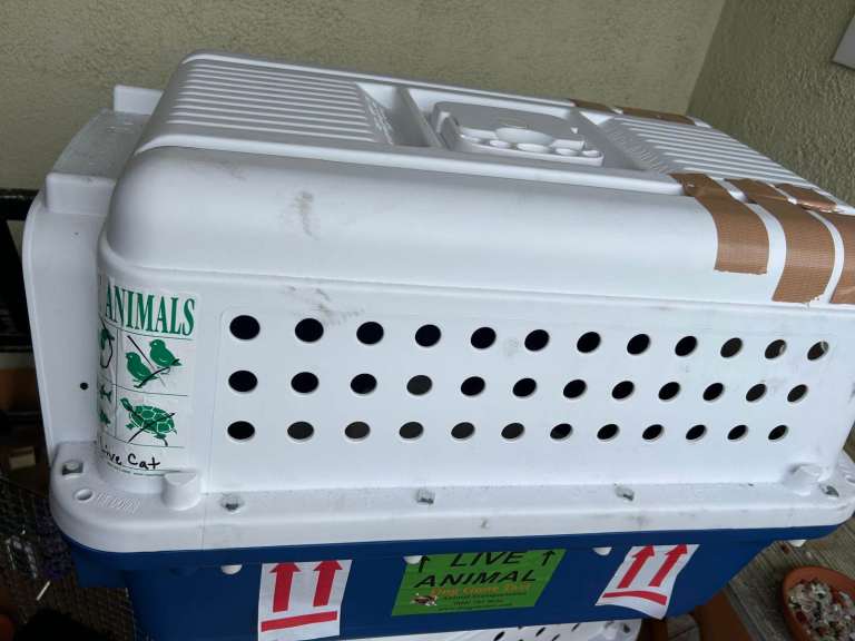 International Travel Compliant Pet Carriers