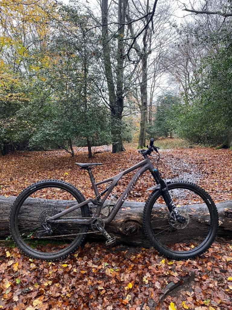 2021 Specialized Stumpjumper Alloy 29 — Full Suspension Trail Bike
