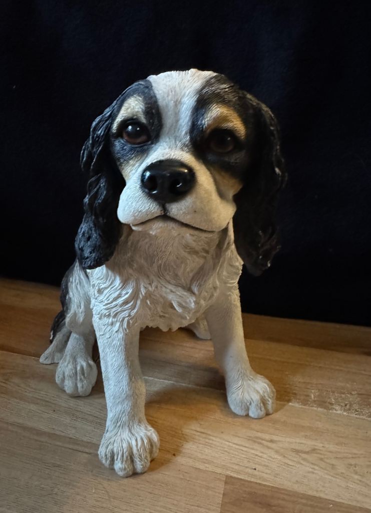 Leonardo Collection Cavalier King Charles Spaniel