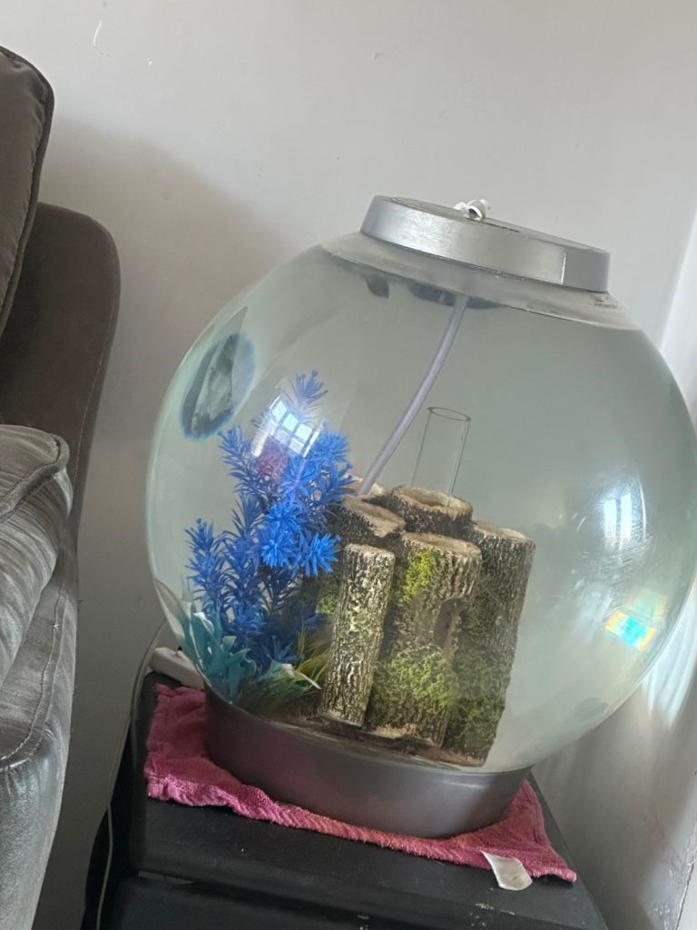 30l bio orbe fish tank 