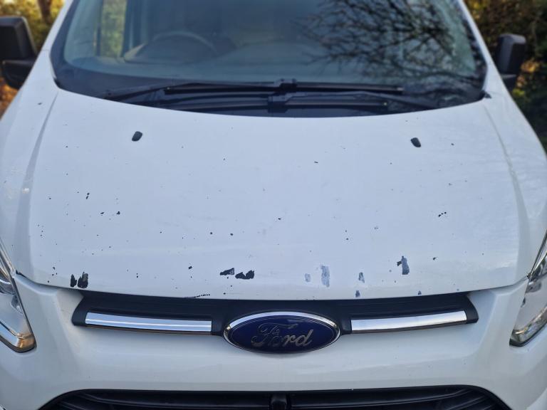 2013 Ford Transit Custom 2.2 TDCi 100ps Low Roof Trend Van PANEL VAN Diesel Manual