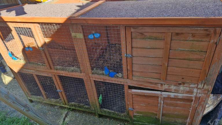 Free Rabbit hutches X 2 