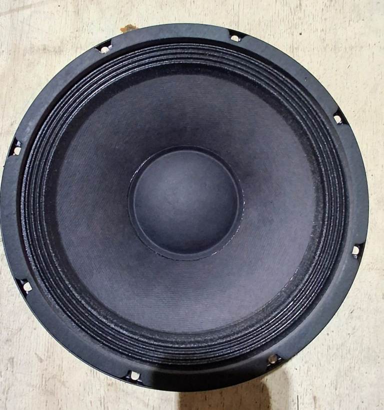 10" Speakers 