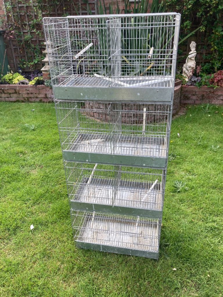 Bird cages 