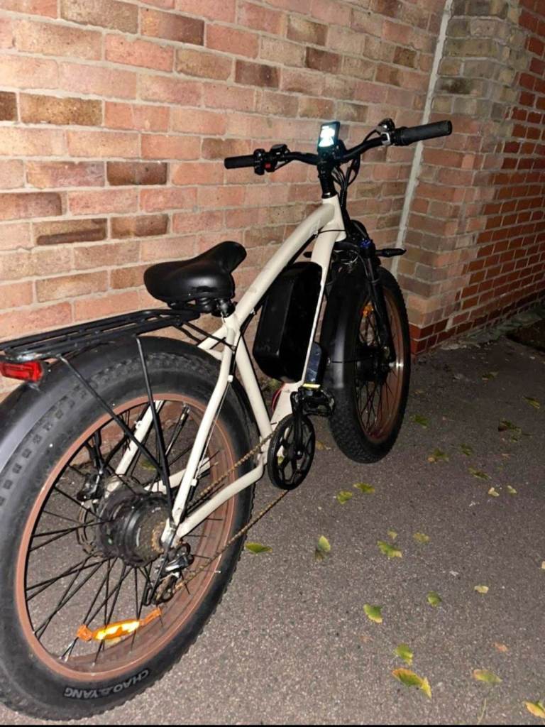 ebike Bluvall Zeegr F1 2000W