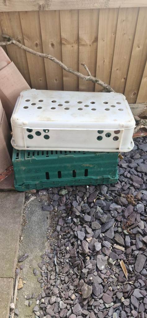 Used Plastic Crates for Storage or Transport