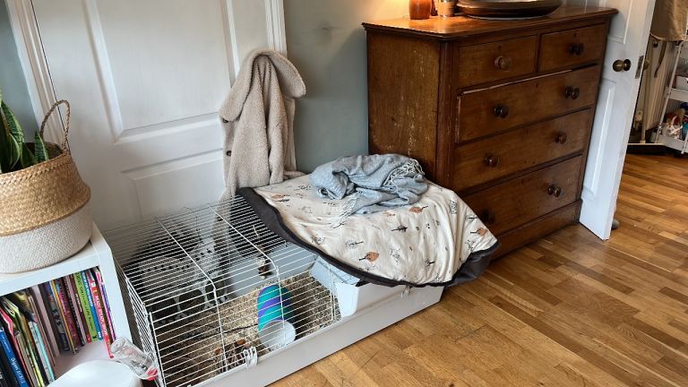 Pet cage 100 perfect except small chip on corner 