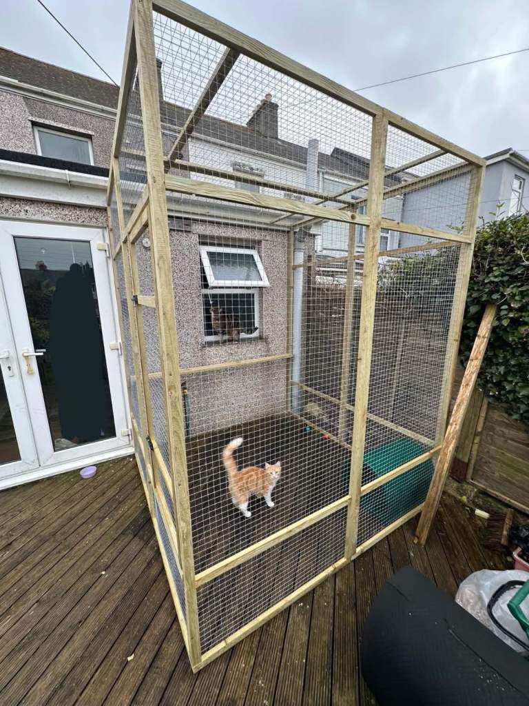 Catio 