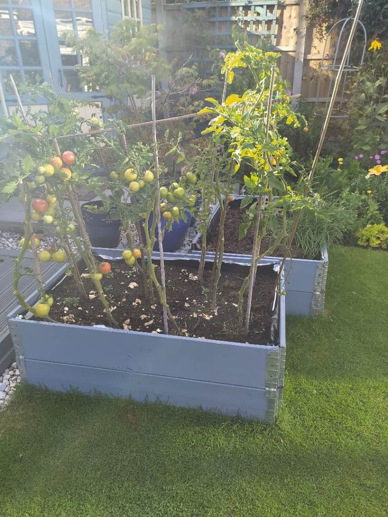 Raised beds - sections. 