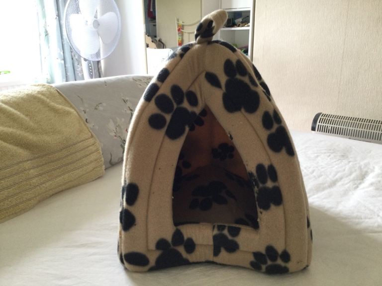 Cat bed with removable cushion