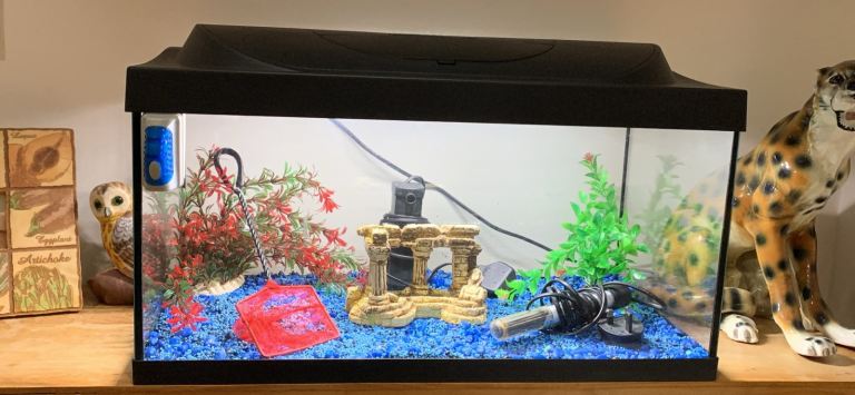 Fish Tank Aquarium with Accessories