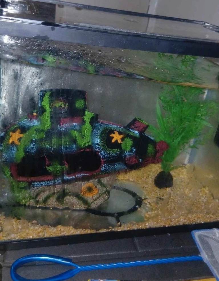 Fish tank aquarium 