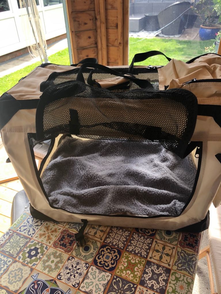 pet carrier 