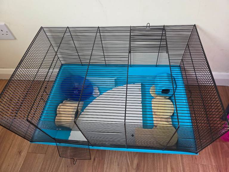 Hamster cage and accessories