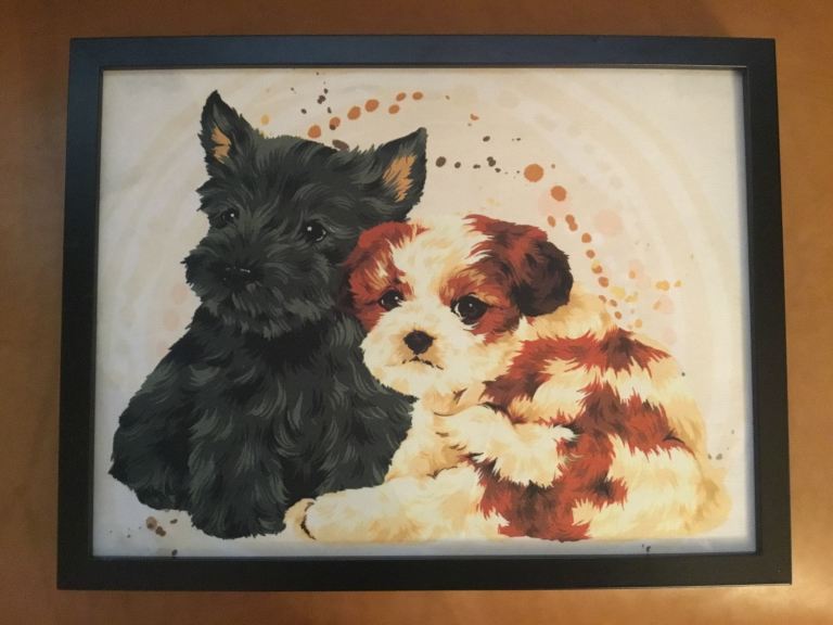 Cute Puppy Dog Picture in Black Frame – Good Condition