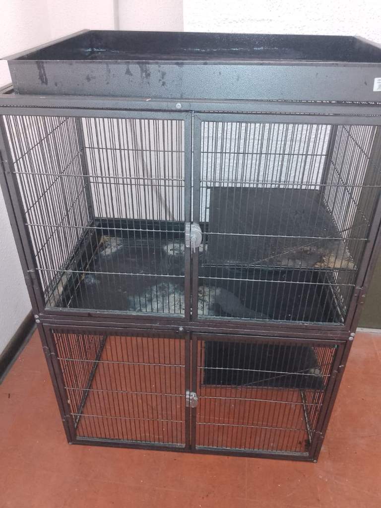 Four Tier Chinchilla, Rat, Ferret Cage with Accessories
