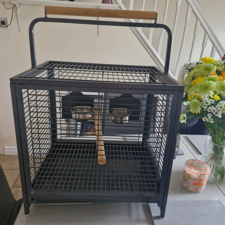 Bird cage 