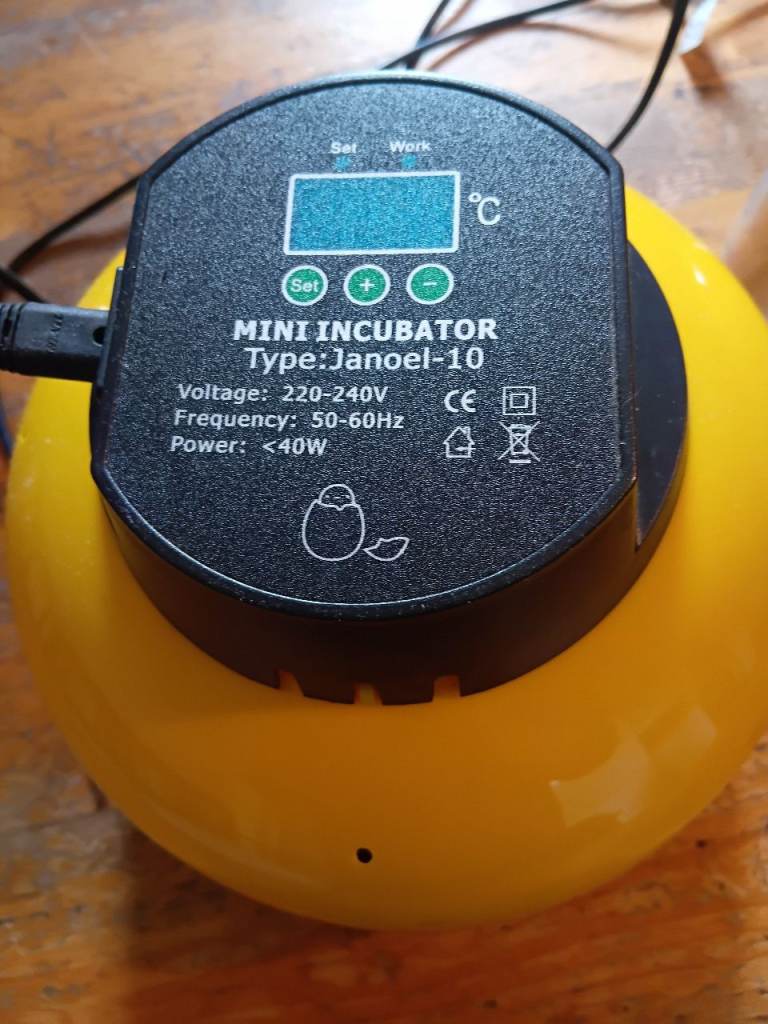 Egg incubator 
