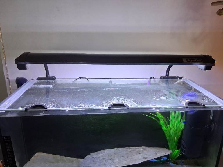 Small size fish tank and filter for sale