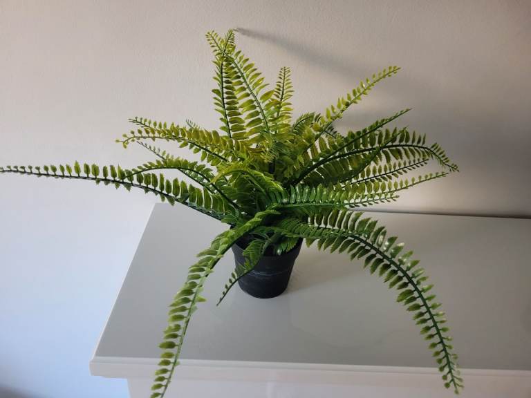 Small Artificial Fern Plant. 