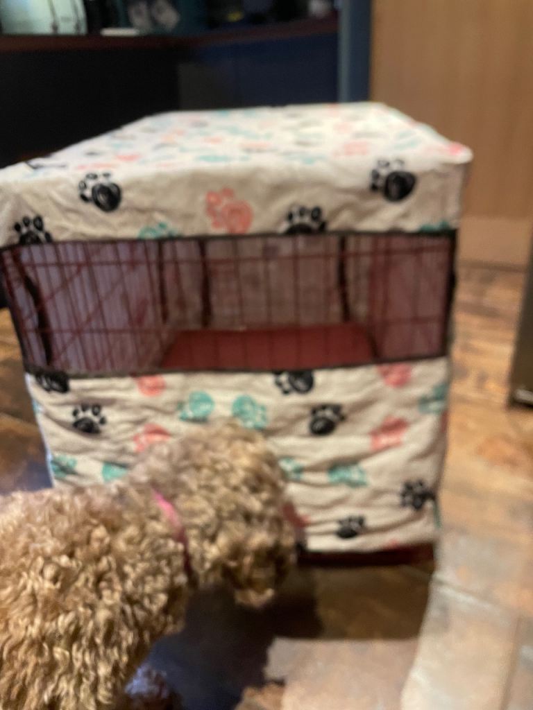 Large dog cage with cover