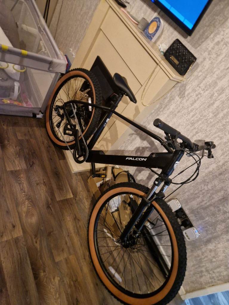 Falcon Turbine electric mountain bike