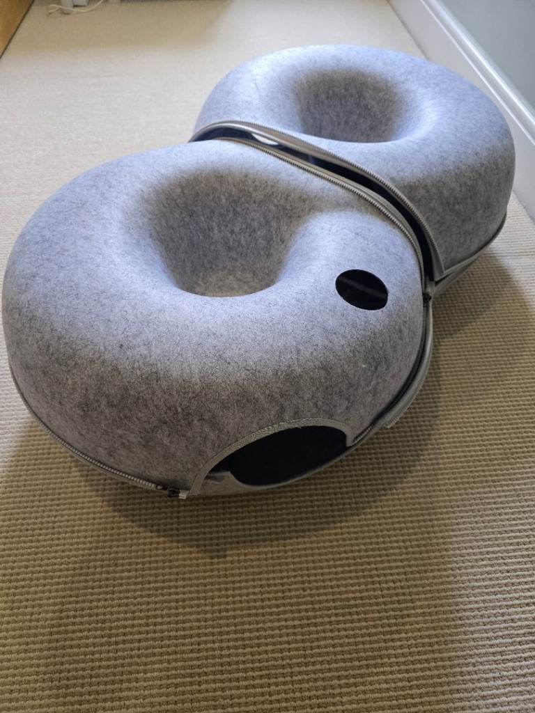 Cat donut
