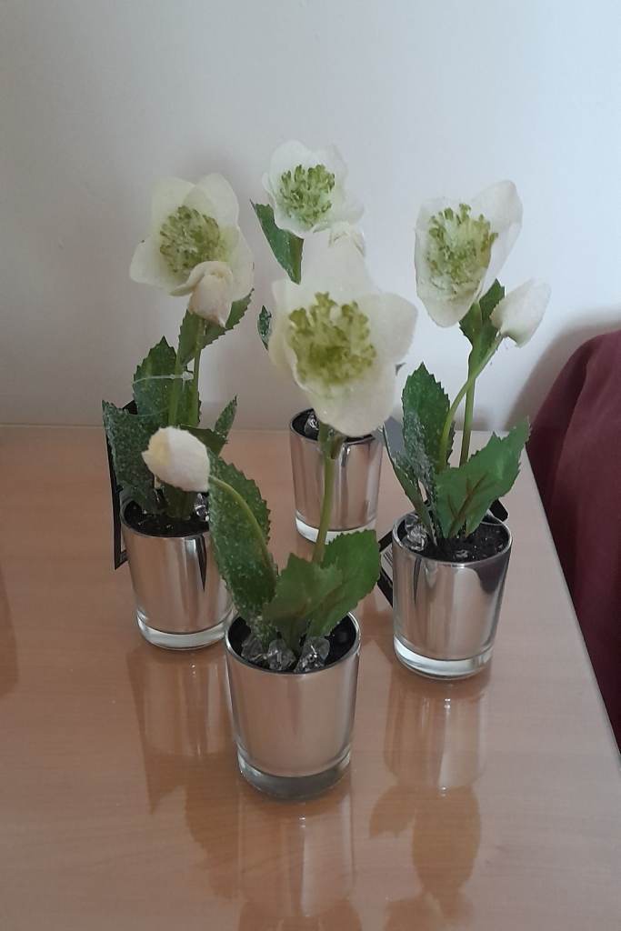 Four small Christmas Roses. New.