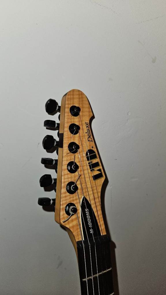 ESP LTD Deluxe MS1000 Electric Guitar with hardcase