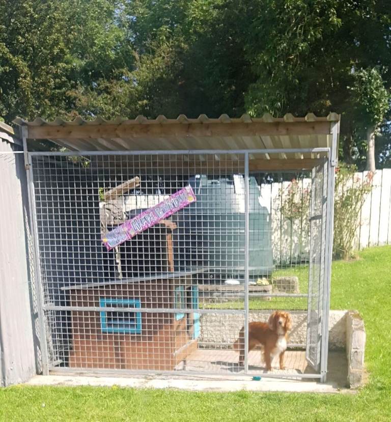 8 x 6 Dog run