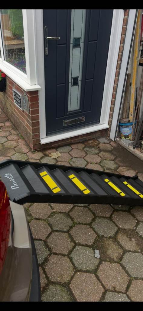 Dog ramp