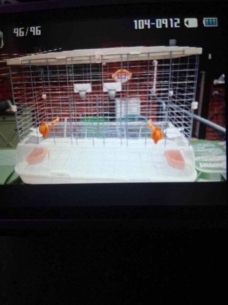 bird cage