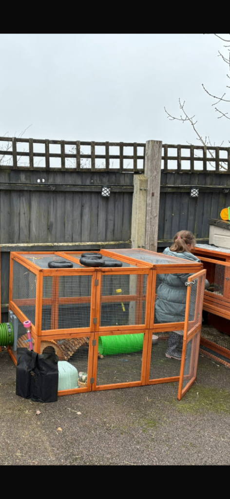 Rabbit hutch and run